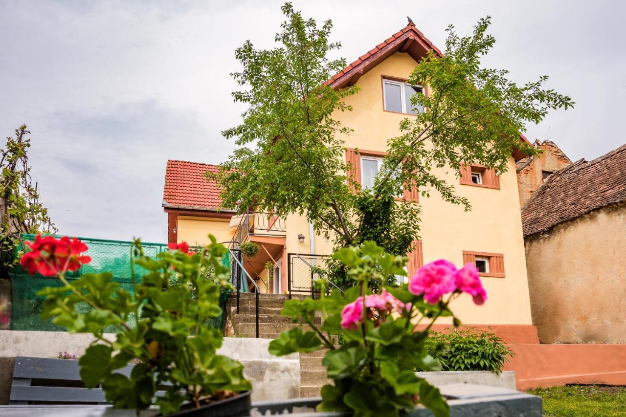 Gabi'S Home #2 Σιγκισοάρα Εξωτερικό φωτογραφία